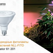 Лампа светодиодная LED 15вт Е27 для растений PAR38 (61201 NLL-FITO)