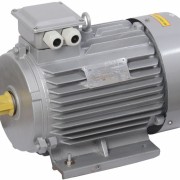Электродвигатель трехфазный АИР 160M6 660В 15кВт 1000 об/мин 2081 DRIVE (DRV160-M6-015-0-1020)