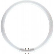 Лампа люминесцентная кольцевая ЛЛ 55вт T5 FC 55/860 2Gx13 (528564)