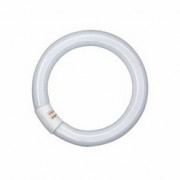Лампа люминесцентная L 22W/840 C 22Вт кольцевая 4000К G10q OSRAM 4008321581082