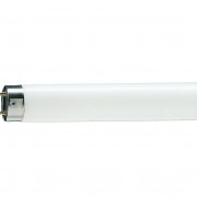 Лампа линейная люминесцентная ЛЛ 36вт TLD 36/33-640 G13 белая (81582500)