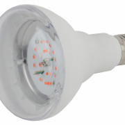 FITO Лампы тип цоколя E27  ЭРА FITO-16W-RB-E27-K