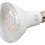 FITO Лампы тип цоколя E27  ЭРА Лампа полного спектра FITO-15W-Ra90-E27